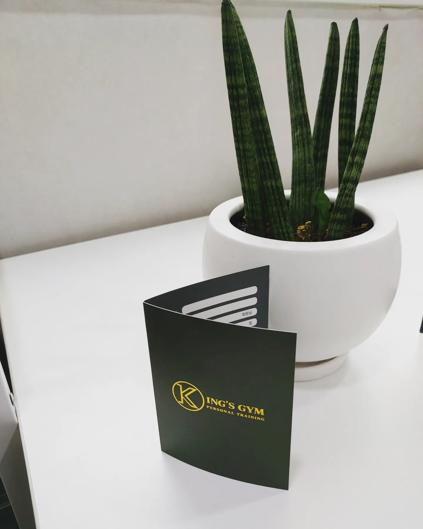 235149625_pMD2venU_7488e9b6fc683e89e8caeb77b5e6cb812974fd9c.jpg 이미지크게보기